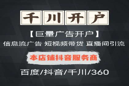 百度竞价广告运营全解析：成功案例揭秘